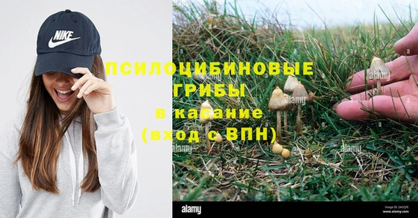 экстази Абаза