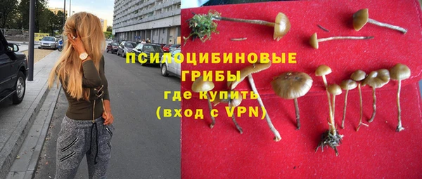 прущая мука Абинск