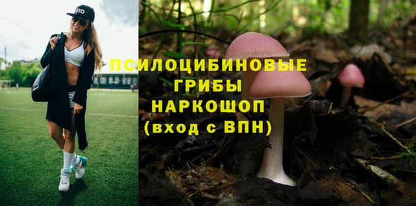 прущая мука Абинск