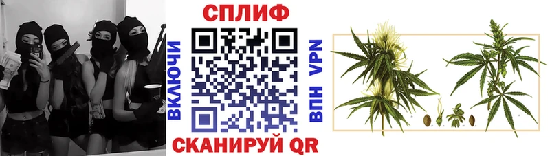 МАРИХУАНА индика  Сальск 
